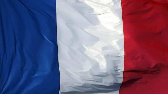 French Flag - Marine Le Pen - French Elections