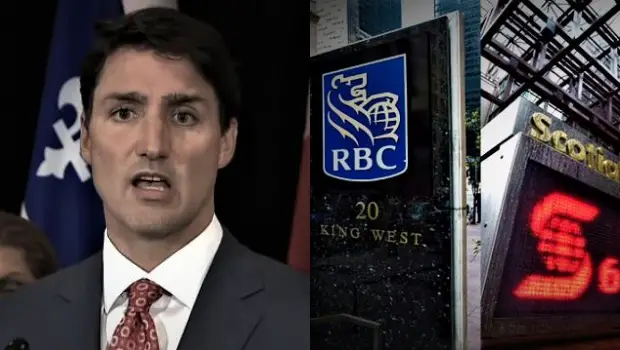 Why Is Trudeau Going After Small Businesses Instead Of The Big Banks