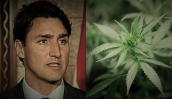 Trudeau Government Ripped For Plan To Tax Medical Marijuana