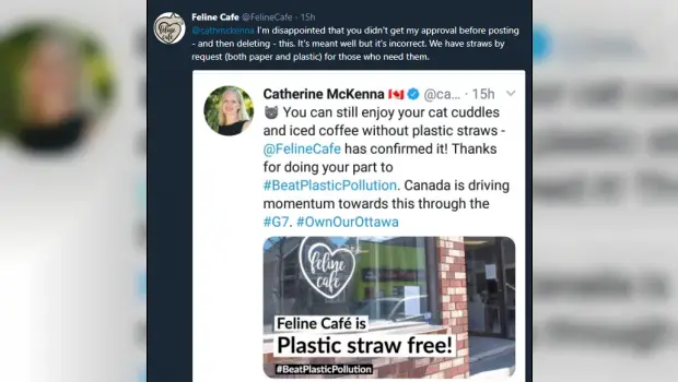 Catherine McKenna Feline Cafe Fail