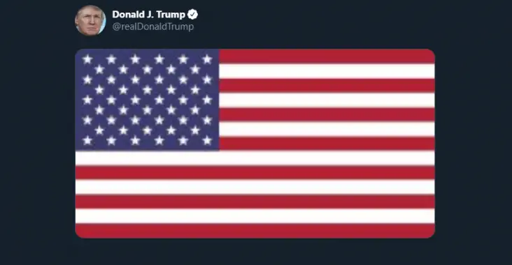 Trump Tweet Flag